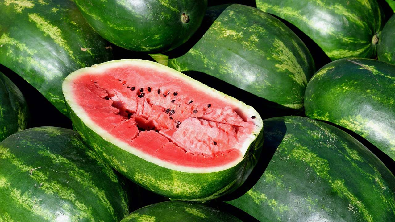 dưa hầu Long Trì