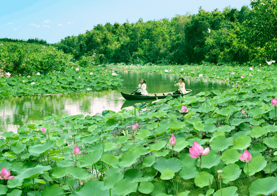 khu du lịch Đồng Tháp Mười